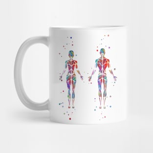 Muscular System Mug